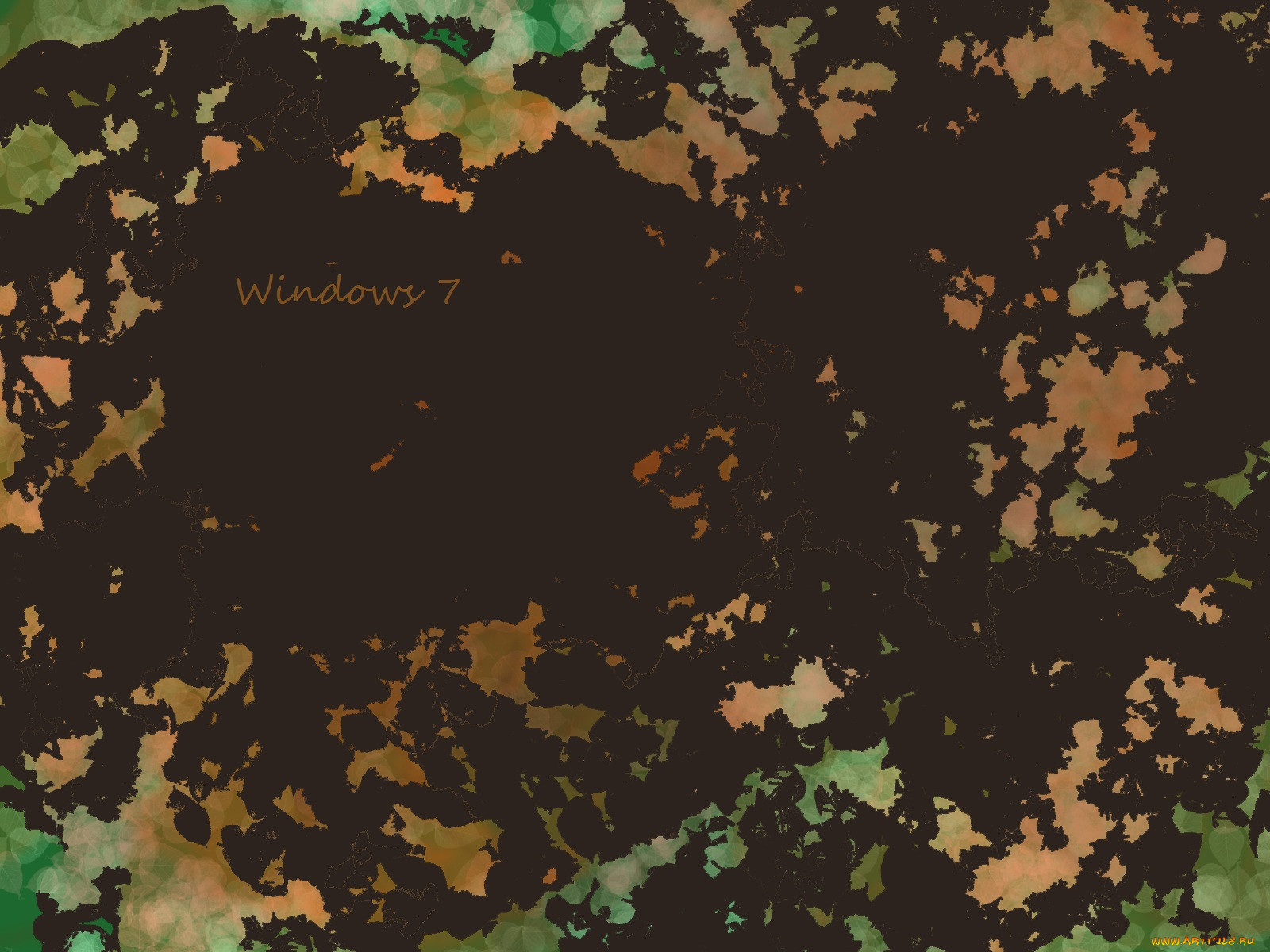 , windows, vienna, 7